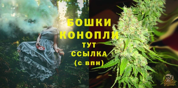 молекула духа Аркадак