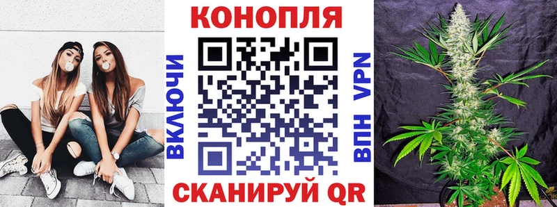 Канабис сатива  Сальск 